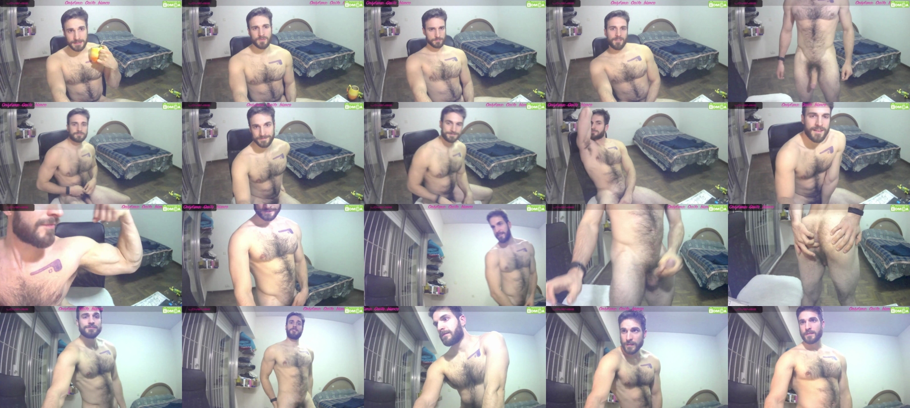 Osito_Blanco  10-06-2021